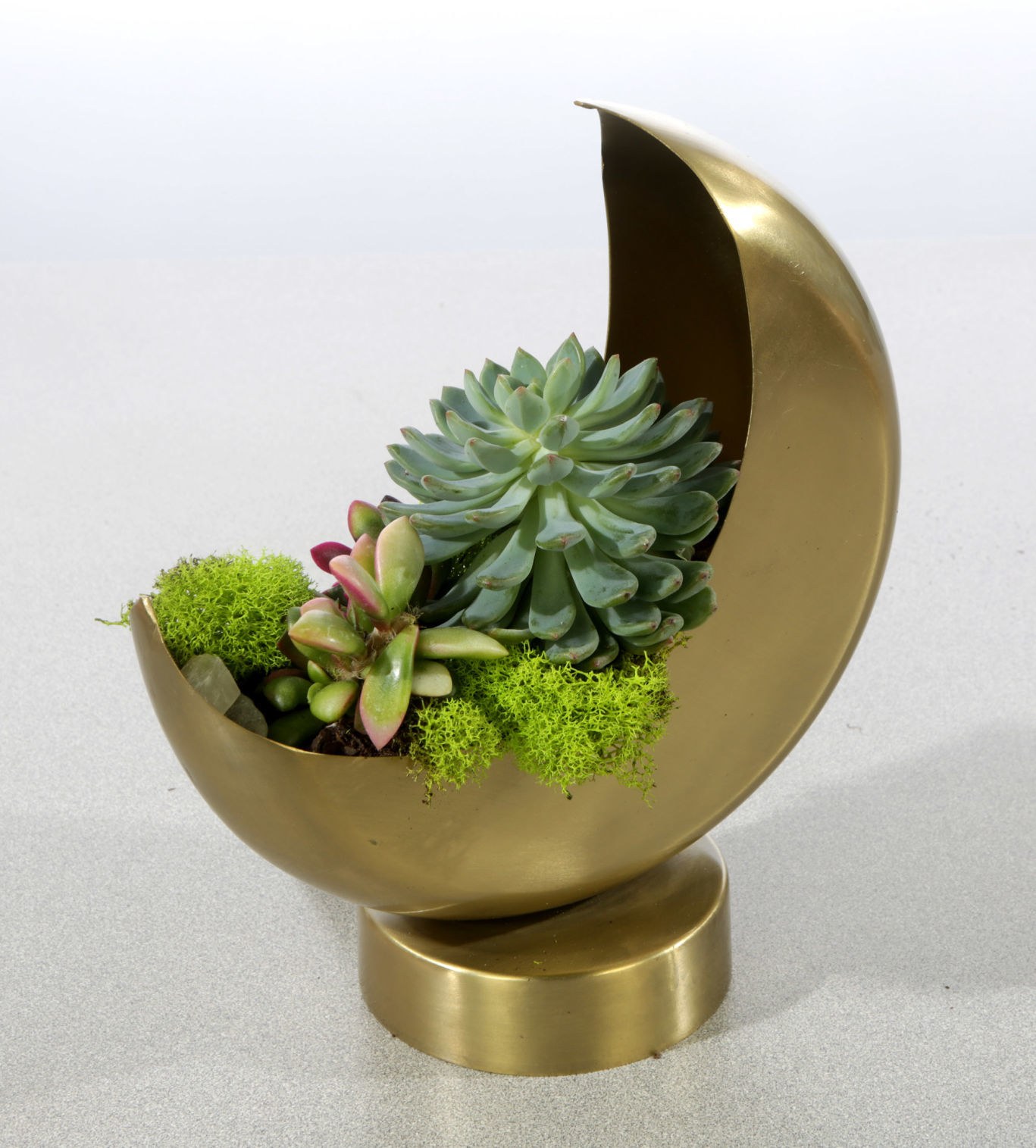 Moon-shaped planter